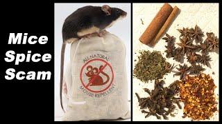 Debunking The Mice Spice Scam. Don't Fall For This. Mousetrap Monday.