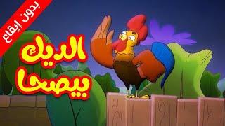 الديك بيصحى (بدون إيقاع) - طيور بيبي Toyor Baby