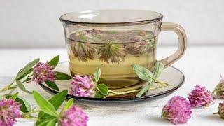 How to make red clover tea | Red clover benefits