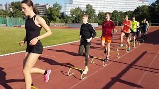 Variantenreiches Training mit Minihürden - Mini Hurdles