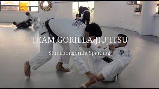 20221211 ShinChonGorilla Sparring : Black (1Round), Brown (1Round), Purple (2Round), Blue (1Round)