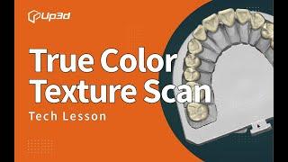 True Color Texture Scan「UP3D Tech Lesson」