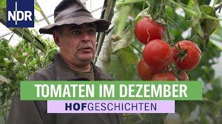 Auch im Winter gedeihen Tomaten und Blumen | Hofgeschichten: Leben auf dem Land (312)