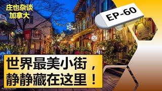 魁北克城墙和小尚普兰街，里面当然全是故事【庄也杂谈加拿大60】