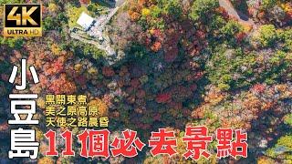 Japan's Shikoku Red Leaf Tour EP2 | Self-driving for 7 days | Super Romantic Angel Road!