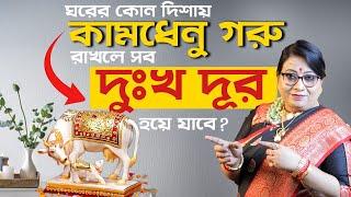 ঘরের কোন দিশায় কামধেনু গরু রাখলে সব দুঃখ দূর হয়ে যাবে ? Dr Balaka Banerjee