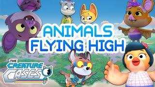 @CreatureCases   -  Animals Flying High!  | 20+ MINS Compilation | Kit & Sam Mysteries