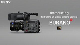 Introducing BURANO, the new CineAlta Camera from Sony