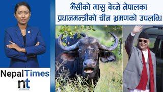 भैंसीको मासु बेचेर नेपालले व्यापार घाटा घटाउने|| Nepal Times