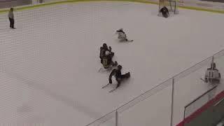 Daniel Malloy scoring in Chicago at NHL festival