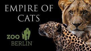 Tour of Empire Of Cats at Zoo Berlin