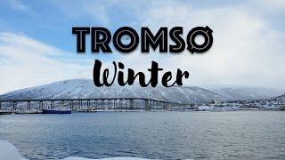 Tromsø winter