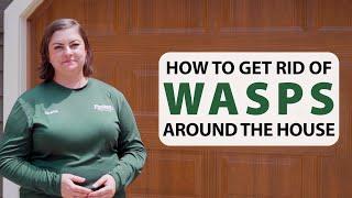 How To Get Rid Of Wasps Around The House