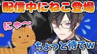 【かわいい】配信中にねこが乱入してきて戸惑う四季凪アキラ【切り抜き/VOLTACTION/にじさんじ】