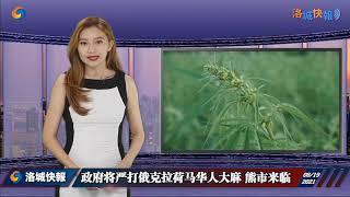 政府将严打俄克拉荷马华人大麻 熊市来临 ！记者直击0819