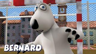 Bernard Bear | Indoor football AND MORE | Cartoons for Children | Full Episodes