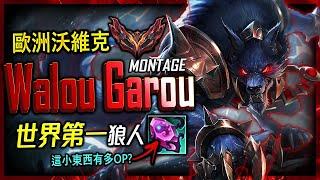 Walou Garou Best Warwick "RANK 1" | INSANE HEAL POWER MONTAGE  - League of Legends