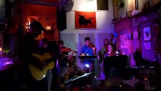 Hard Rain Gonna Fall - The Wirebirds 11/15/24