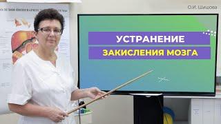 УСТРАНЕНИЕ ЗАКИСЛЕНИЯ МОЗГА [Шишова О. И.]