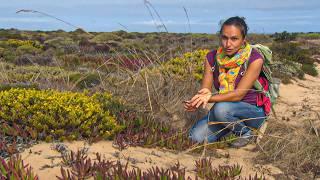 South West Portugal: Alentejano and Costa Vicentina