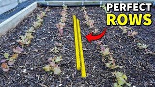 This Garden Hack Makes PERFECT ROWS In Half The Time!