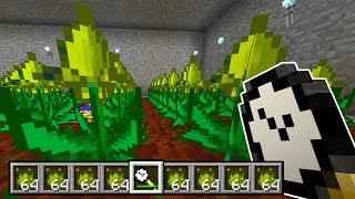 START TO MYSTICAL AGRICULTURE | #11 Modded Minecraft (1.12.2) | Minecraft STONEBLOCK MOD