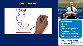 Cardiopulmonary Bypass: Circuit