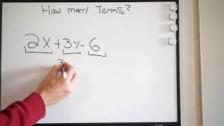 What are Terms and How Many Terms does  an Expression Have?