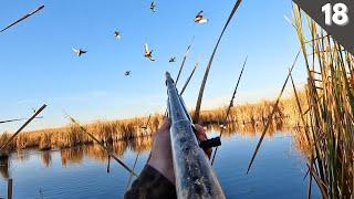 DECOYING Migrating MALLARDS Into A TINY Cattail Hole (Limited Out) | Duck Hunting 2024