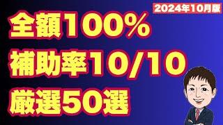 【2024年10月】 補助率10/10全額100%支給補助金・支援金 厳選50選