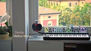 Moog Matriarch // Some Mellow Sounds of Raw Moog Beauty