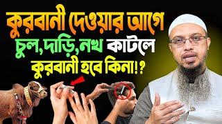 কুরবানী দেওয়ার আগে চুল নখ দাড়ি কাটলে কুরবানী হবে কিনা? শায়খ আহমাদুল্লাহ