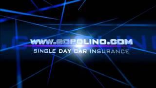 Single day car insurance - www.gopolino.com - single day car insurance