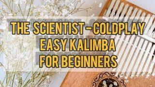 The Scientist Easy Kalimba Tutorial Kalimba for Beginner #kalimbathescientist #easykalimbatutorial