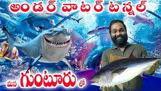 underwater tunnel/GUNTUR'S FIRST UNDER WATER TUNNEL FOR FISH AQUARIUM/mana rk channel/#guntur #fish