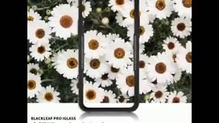 BLACKLEAF PRO IGLASS iPhone X / 8 強化玻璃殼防摔保護殼 保固一年