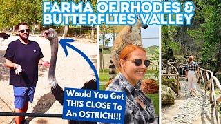 Kev Gets IN With An OSTRICH & We Nearly Get KNOCKED OUT!! Rhodes, Greece Vlog, Farma Of Rhodes