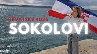 Hrvatske ruže - Sokolovi (Official lyrics video)