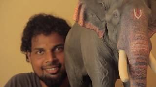 Anapattu 3 - Elephant Making