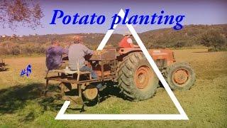 Potato planting - Φύτεμα Πατάτας πατέντα | Lamborghini cross 774 | Dji osmo mobile, Dji phantom