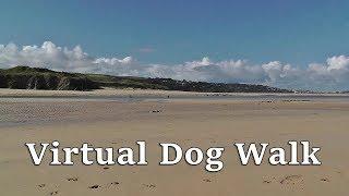 TV for Dogs : Virtual Dog Walk TV - Hayle to Hayle Beach