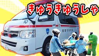 救急車でたおれた人をきゅうしゅつ！【はたらくくるま(働く車)】【きゅうきゅうしゃ(救急車)【那覇市消防局】#救急の日