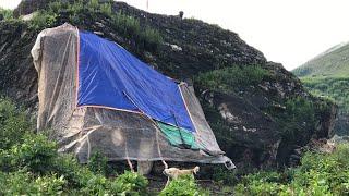 Beautiful Nepali Lifestyle Of Jumla Nepal || Village Life Of Gothichaur Jumla || Most Relaxing Life.