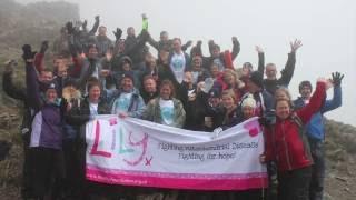 Dancor Lily Foundation Snowdon Trek 2016