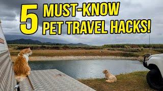 5 Tips for Caravanning with your Dog & Cat | Pet-Friendly Lap of Australia Travels