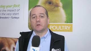 More effective immune response for poultry, with Spray-Dried Plasma