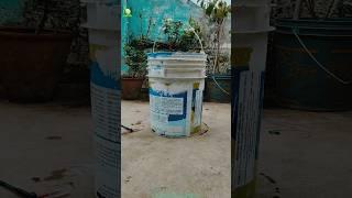 DIY plant pot from bucket 🪴 #shorts #trending #ytshorts #viral #viralshort #diy #homemade #garden