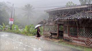 Walking in the rain of Great Thunder in the village Red soil || Weather Banish Insomnia 99% calming