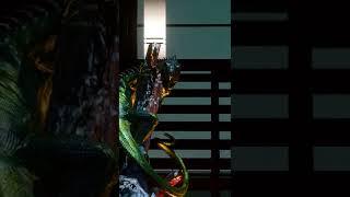 The Iguana & Egg in Cyberpunk 2077