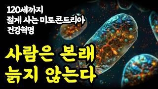 120세까지 젊게 사는 미토콘드리아 건강혁명